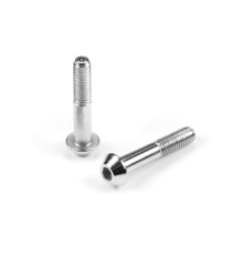 STEEL BRAKE PAD GUIDE PIN SCREW M3x16 (2) - XRAY - 354180