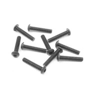 HEX SCREW SH M3x16 (10) - 902316 - XRAY