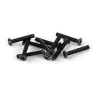 HEX SCREW SFH M3x20 (10) - 903320 - XRAY