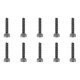 TEAM CORALLY - STEEL SCREWS M2 X 10MM - HEX SOCKET HEAD - 10 - C-3002