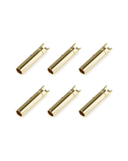 Prise femelle 2.0mm - 6 pcs - CORALLY - C-50160