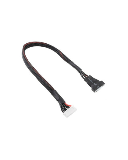 TEAM CORALLY - BALANCER LEAD 6S - BATTERY 6S XH CONNECTOR - - C-50203