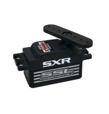 Servo Sanwa PGS-CL II - SANWA - S107A54516A