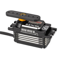 Sanwa PGS-LHR servo - SANWA - S107A54187A