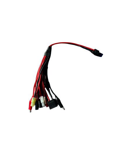 Corsatec charging wire 8 in 1 XT 60 - CORSATEC - CT60031