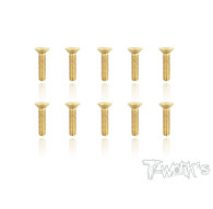 Screws GOLD FHC 3x12mm (10) - T-WORKS - GSS-312C