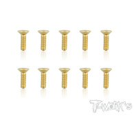 Screws GOLD FHC 3x10mm (10) - T-WORKS - GSS-310C