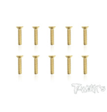 Vis Acier Traitées GOLD FHC 3x14mm (10) - T-WORKS - GSS-314C