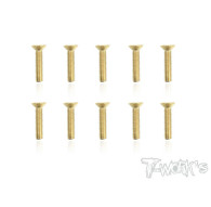 Screws GOLD FHC 3x14mm (10) - T-WORKS - GSS-314C