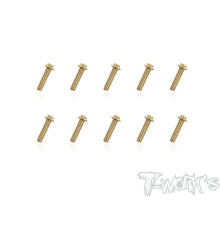 Vis Acier Traitées GOLD Tête UFO 3x12mm (10) - T-WORKS - GSS-312U