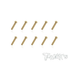 Vis Acier Traitées GOLD Tête UFO 3x14mm (10) - T-WORKS - GSS-314U