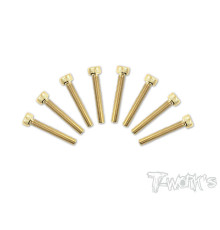 Screws GOLD CHC 3x20mm (8) - T-WORKS - GSS-320H