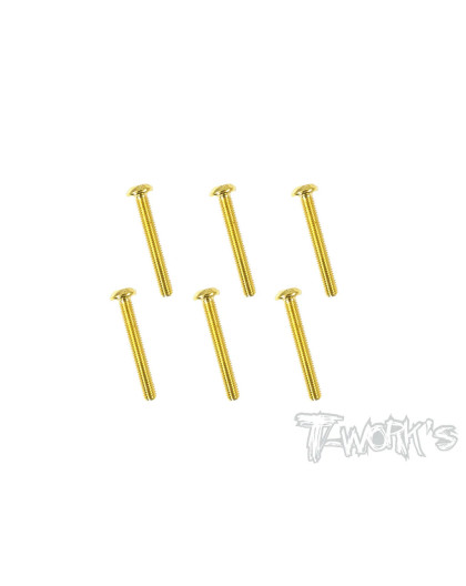 Vis Acier Traitées GOLD BHC 3x22mm (6) - T-WORKS - GSS-322B