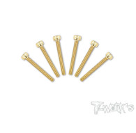 Screws GOLD CHC 3x25mm (6) - T-WORKS - GSS-325H