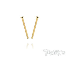 Vis Acier Traitées GOLD FHC 3x40mm (2) - T-WORKS - GSS-340C