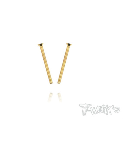 Vis Acier Traitées GOLD FHC 3x40mm (2) - T-WORKS - GSS-340C