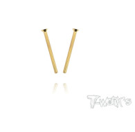 Screws GOLD FHC 3x40mm (2) - T-WORKS - GSS-340C