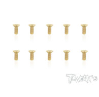 Screws GOLD FHC 4x10mm (10) - T-WORKS - GSS-410C