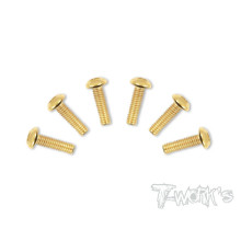 Vis Acier Traitées GOLD BHC 4x14mm (6) - T-WORKS - GSS-414B