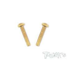 Vis Acier Traitées GOLD BHC 4x22mm (2) - T-WORKS - GSS-422B