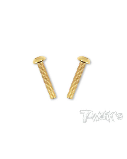 Vis Acier Traitées GOLD BHC 4x22mm (2) - T-WORKS - GSS-422B