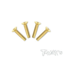Vis Acier Traitées GOLD FHC 4x25mm (2) - T-WORKS - GSS-425C