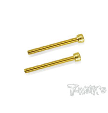 Vis Acier Traitées GOLD CHC 4x40mm (2) - T-WORKS - GSS-440H