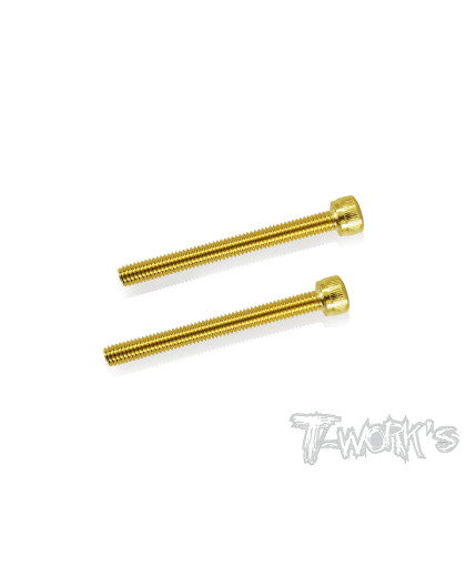 Vis Acier Traitées GOLD CHC 4x40mm (2) - T-WORKS - GSS-440H
