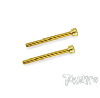 Screws GOLD CHC 4x40mm (2) - T-WORKS - GSS-440H