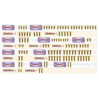 Gold Steel Screw Set 111pcs RC10 B7/B7D - T-WORKS - GSS-RC10B7