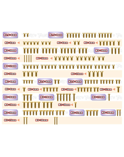 Kit Vis Acier Doré ASSO RC8 B4.1 (178) - T-WORKS - GSS-RC8B4.1