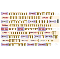 Gold Steel Screw Set 161pcs. (For Xray XB8'25) - T-WORKS - GSS-XB8'25