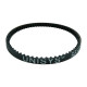 Pièces banc - Courroies - ULTIMATE - UR4539