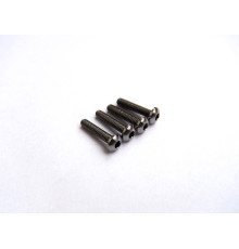  Titanium Hex Socket Button Head Screw M2x10 - HIRO SEIKO - 48017
