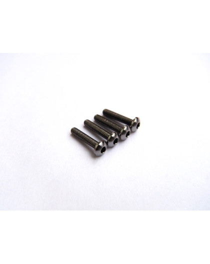 Vis titane BHC M2x10 (4) - HIRO SEIKO - 48017