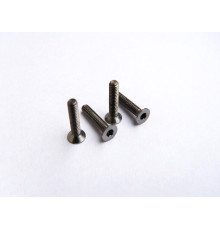  Titanium Hex Socket Flat Head Screw M2x10 - HIRO SEIKO - 48021