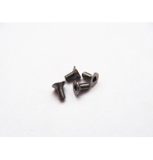  Titanium Hex Socket Flat Head Screw M2X4 (4) - HIRO SEIKO - 48111