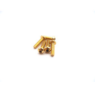  7Px Light Weight Screw Set [Gold] - HIRO SEIKO - 48222