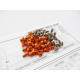  X1'19 Titan/Alum Hex Socket Screw Set - HIRO SEIKO - 48412
