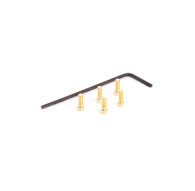  M2X5 Cap Screw Set (5 Pcs) [Gold] - HIRO SEIKO - 69094