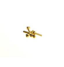  Hex Button Screw M3X10 [24K_Gold] - HIRO SEIKO - 69570