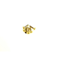  Hex Flat Screw M3X10 [24K_Gold] - HIRO SEIKO - 69578