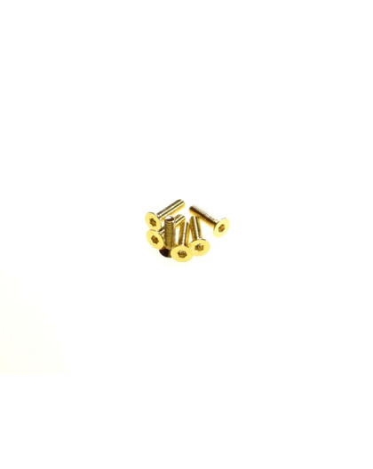  Hex Flat Screw M3X10 [24K_Gold] - HIRO SEIKO - 69578