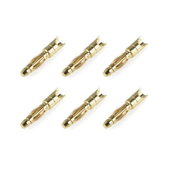 Prise male 2.0mm Spring Type - 6 pcs - CORALLY - C-50170