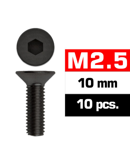 M2,5X10mm Flat Head Screws (10 Pcs) - ULTIMATE - UR1612510