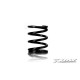 XRAY SPRING-SET C 10.0 - FRONT (2) - 348189 - XRAY