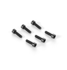 Alu 7075 Hex Screw M3X10 (6) - XRAY - 375392