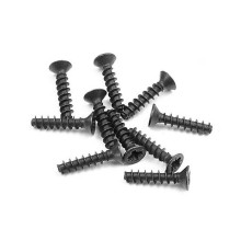 SCREW PHILLIPS FH 2.5x12 (10) - 906262 - XRAY