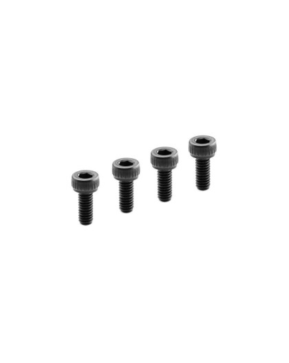HEX SCREW SOCKET HEAD CAP M2.5x6 (4) - FX - 699200