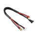 TEAM CORALLY - CHARGE/BALANCE LEAD - T-PLUG 4S - CHARGER 6S - C-50283
